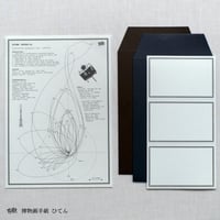 博物画手紙【ひてん】+下敷き