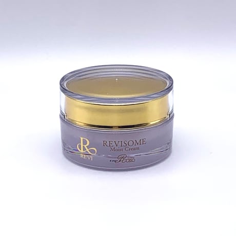REVISOME　5点セット