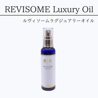 REVI 業務用スプレーガン | Granverger