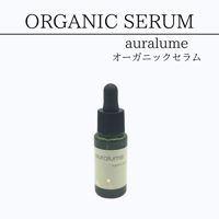 REVI 業務用スプレーガン | Granverger