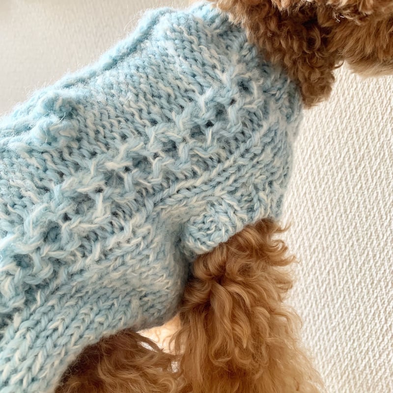 編み図】アラン模様のわんこニット～木の実～(Sのみ) | Sapo-tricot Store