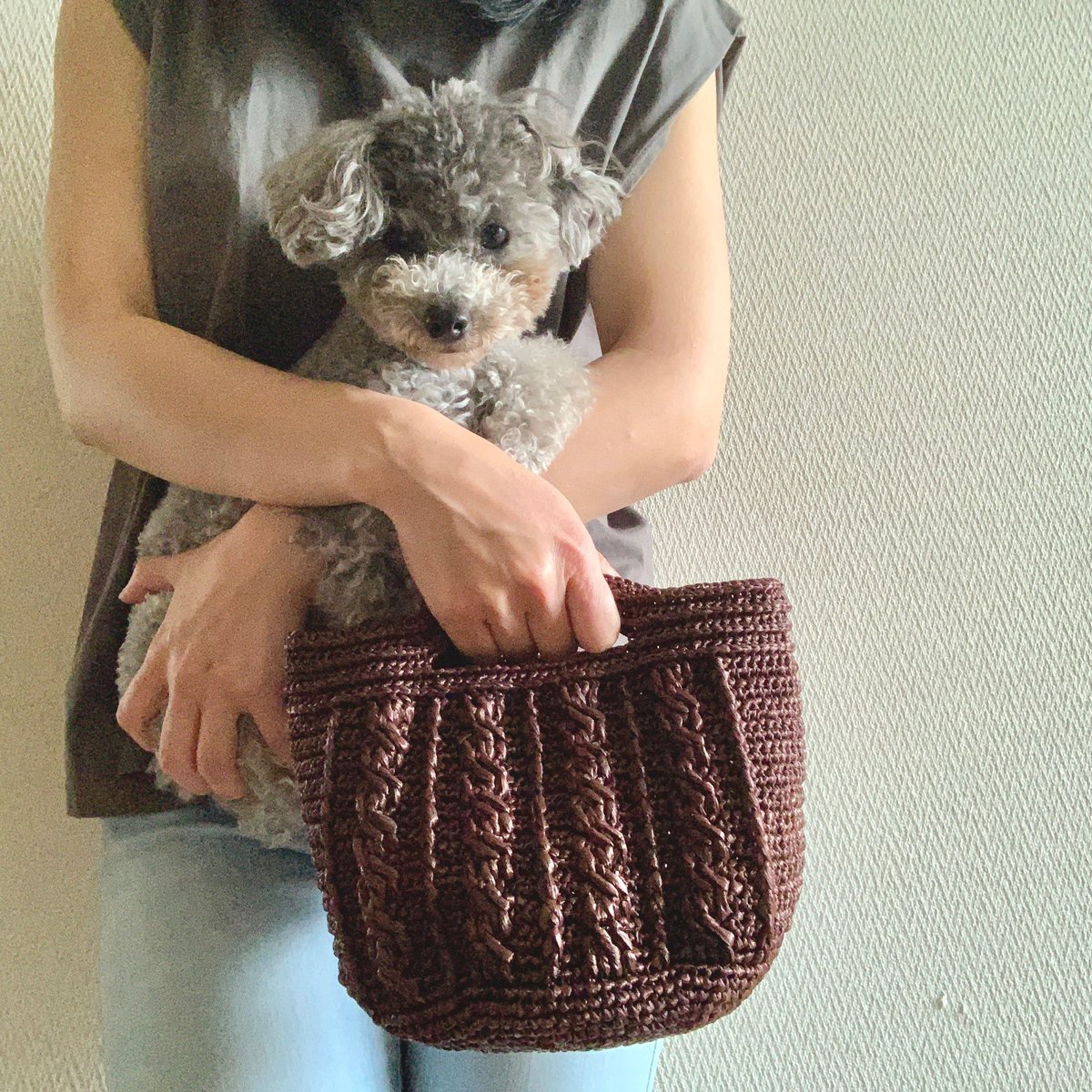 編み図】わんことお揃いのアラン模様のハンドバッグ | Sapo-tricot Store