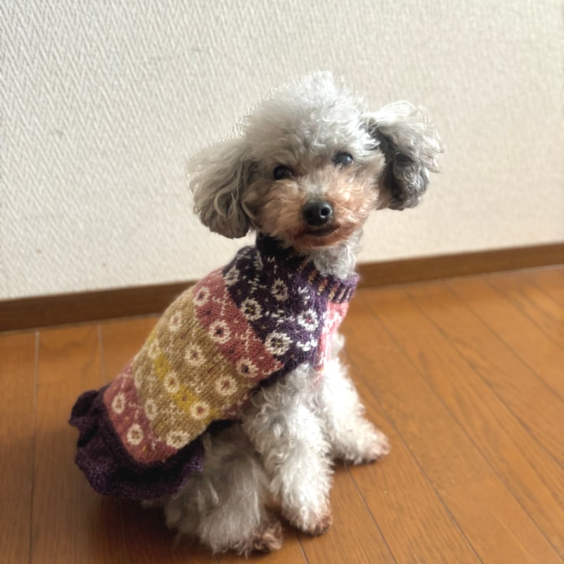 編み図】編み込み模様のドッグニット | Sapo-tricot Store