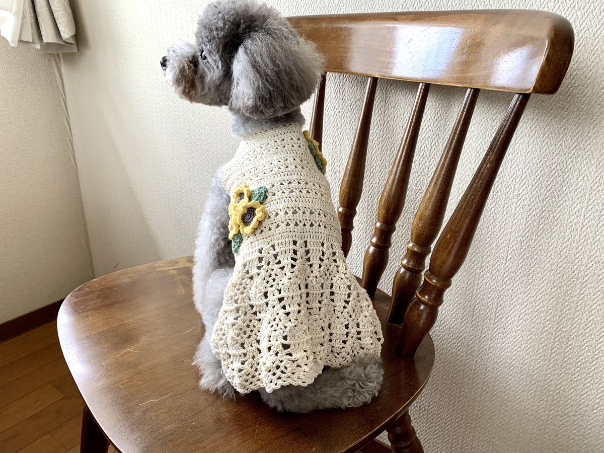 犬服♪手編み♪コータです。ひまわりエプロンワンピ&お花いっぱいワンピ 犬服♪手編み♪コータ様専用です。ひまわりエプロンワンピ&お花
