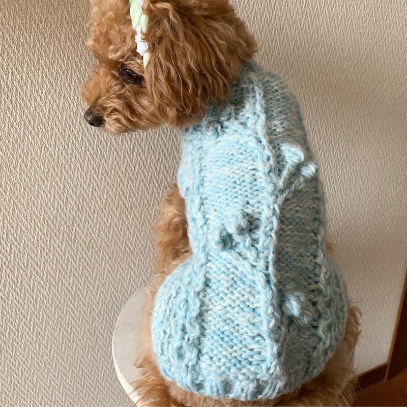 編み図】アラン模様のわんこニット～木の実～(Sのみ) | Sapo-tricot Store