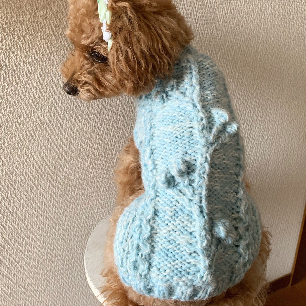 編み図】アラン模様のわんこニット～木の実～ | Sapo-tricot Store