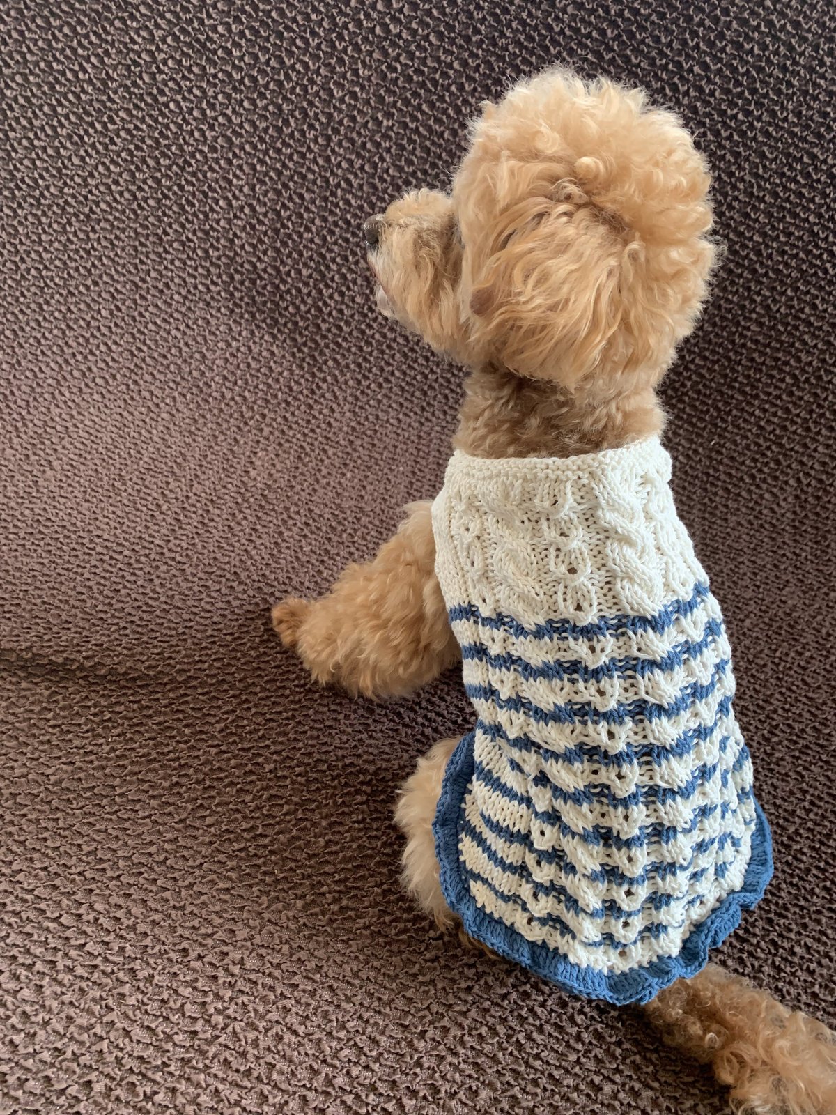 fit=scale-down,w=1200