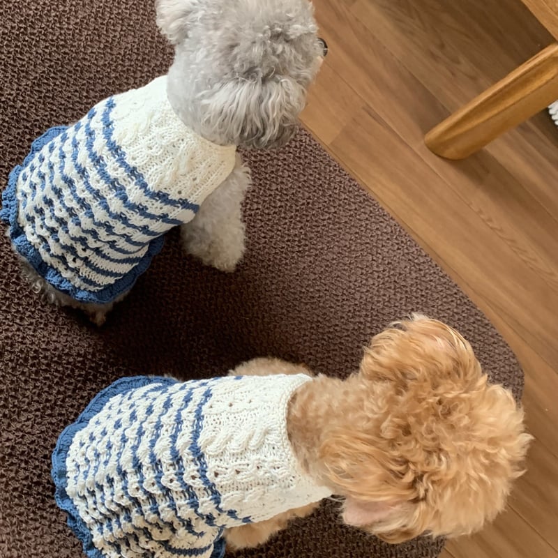 編み図】マリカラーのフリルドッグワンピース | Sapo-tricot Store