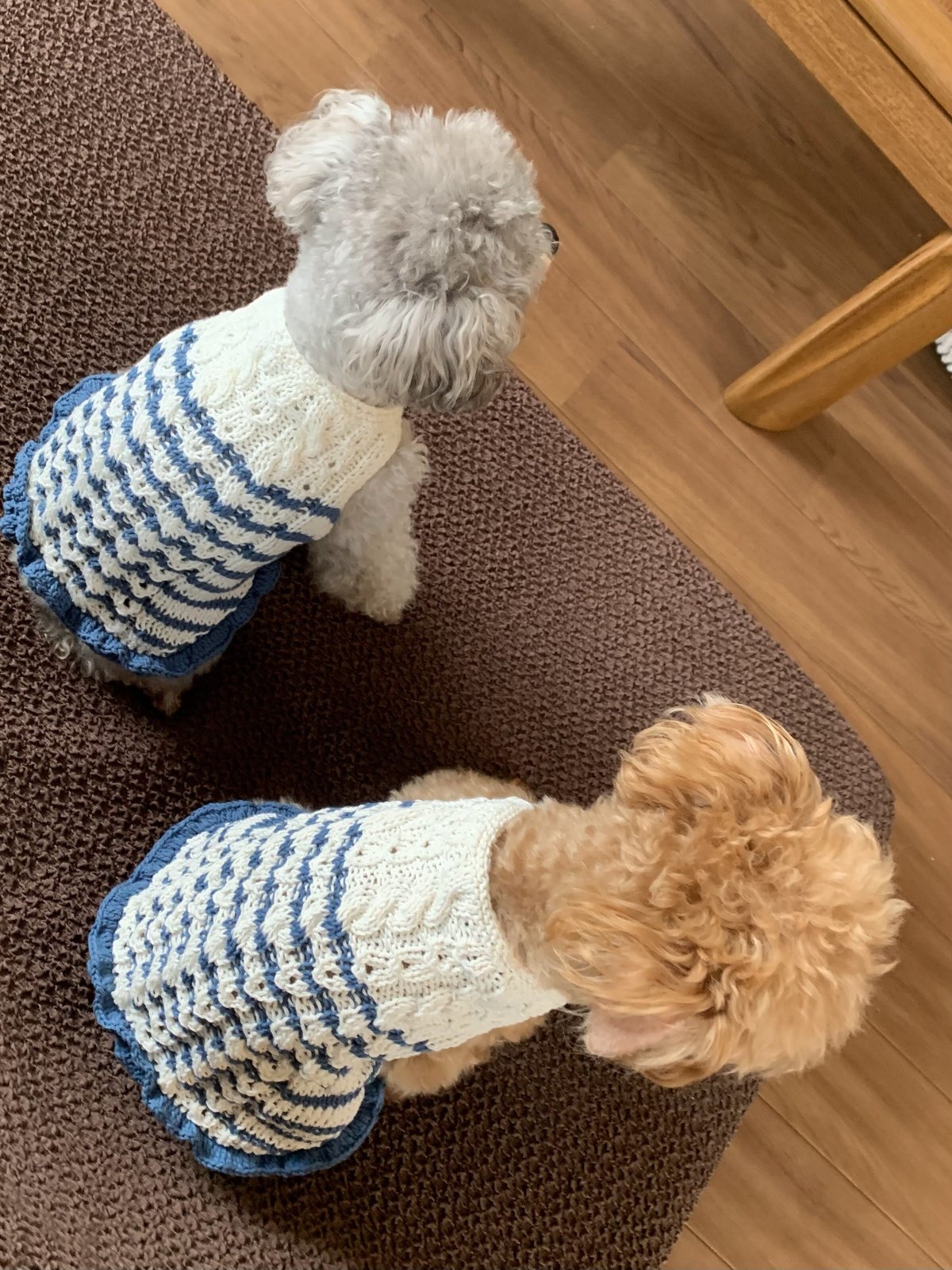 編み図】マリカラーのフリルドッグワンピース | Sapo-tricot Store