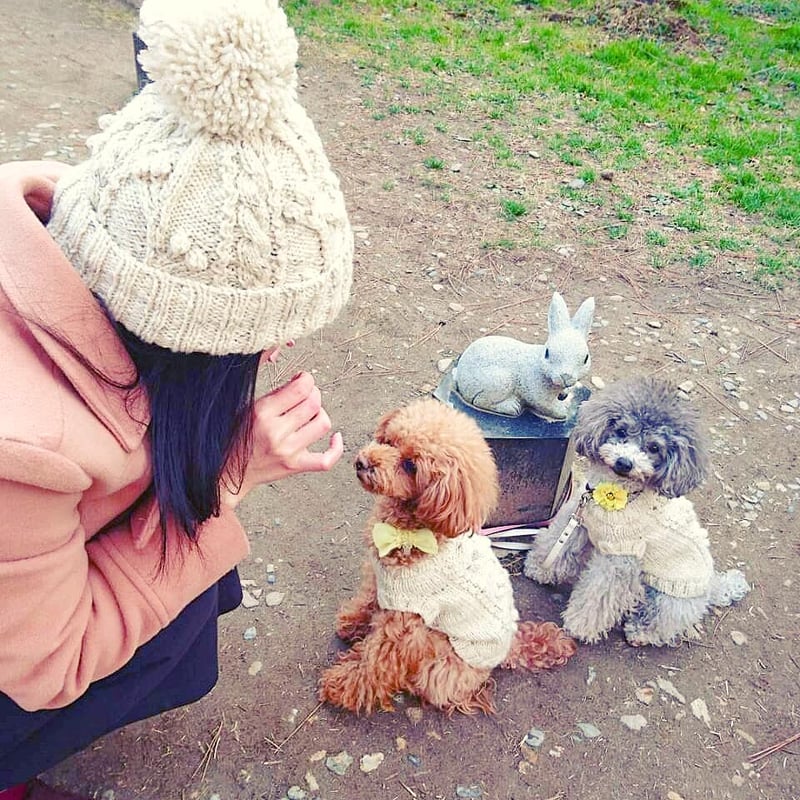 もぐ ※プロフィール読んでください！様オーダー 猫耳ニット帽 もぐ