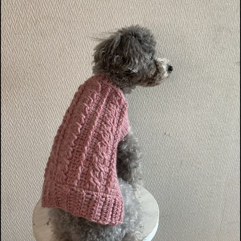 編み図】かぎ針でも編めるアラン模様のわんこニット（2パターンあり