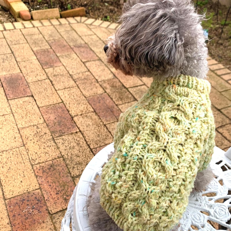 編み図】XOXOハグ&キスわんこニット（SM） | Sapo-tricot Store