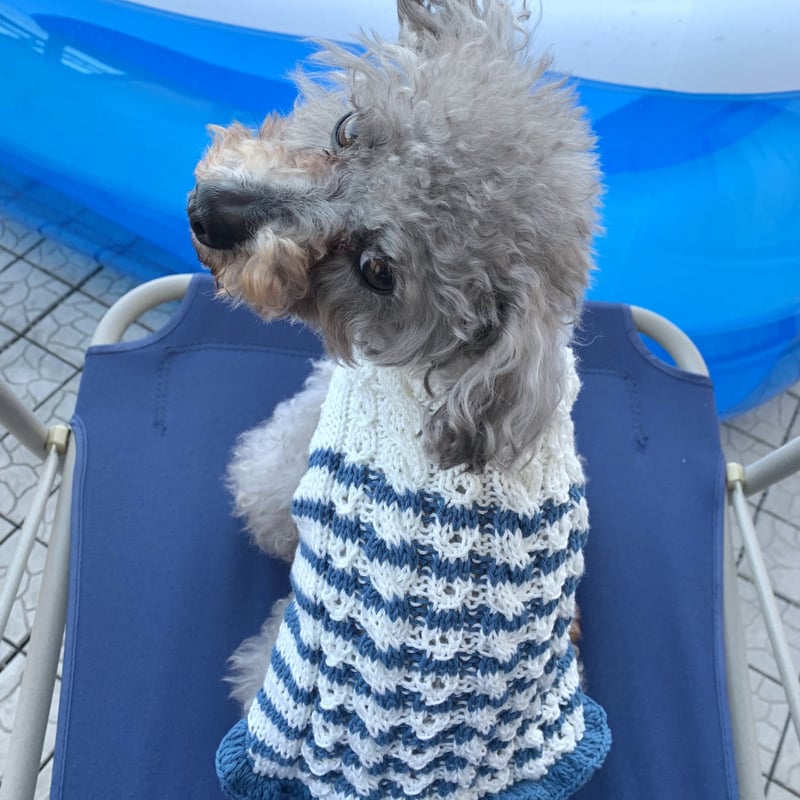 編み図】マリカラーのフリルドッグワンピース | Sapo-tricot Store