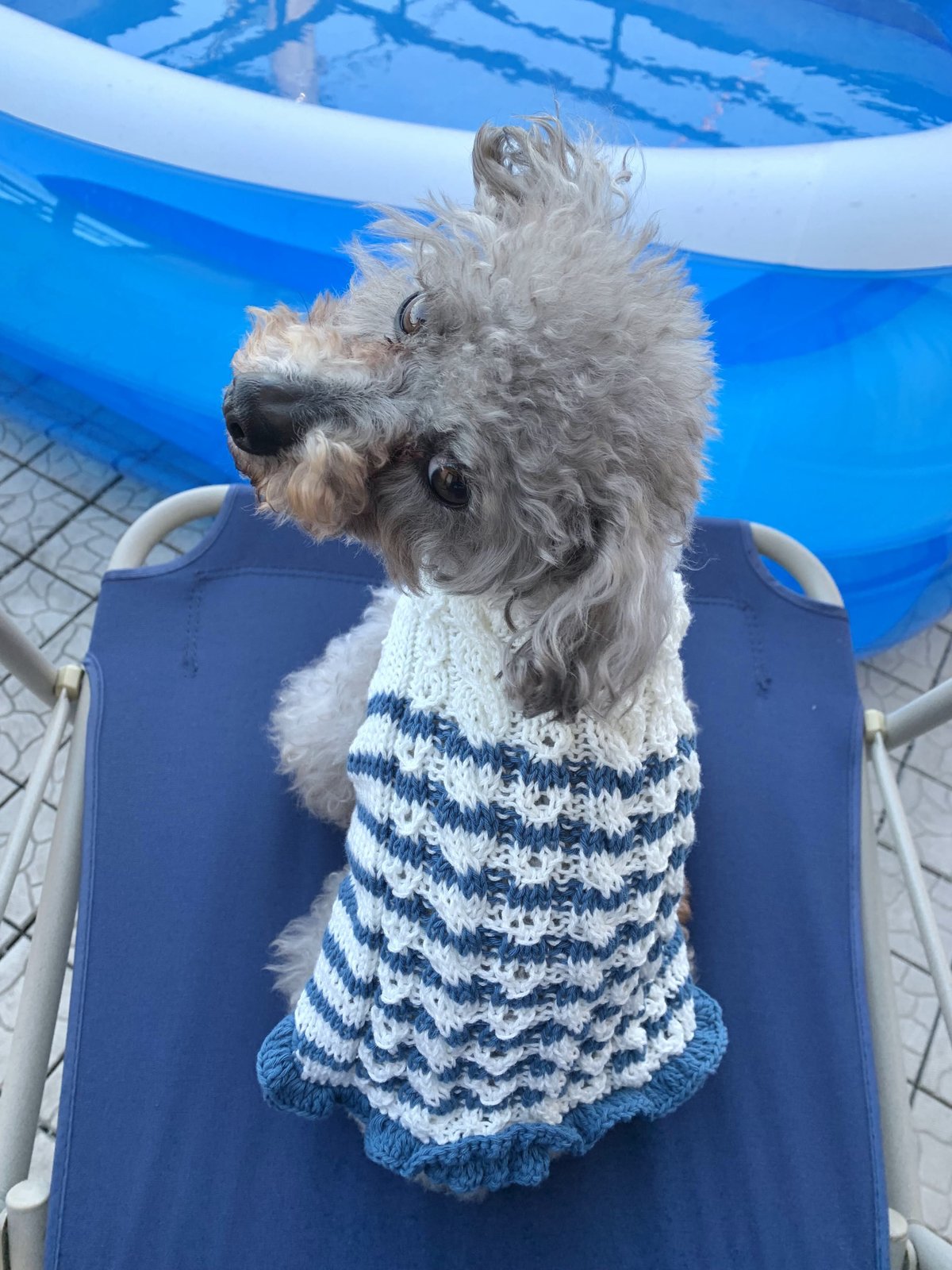 ハンドメイド犬服 パステルカラーのパフスリーブワンピ 色違い3色 接