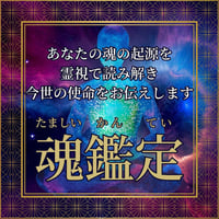 （予約分）魂の姿、魂の使命、生まれてきた意味を霊視します。