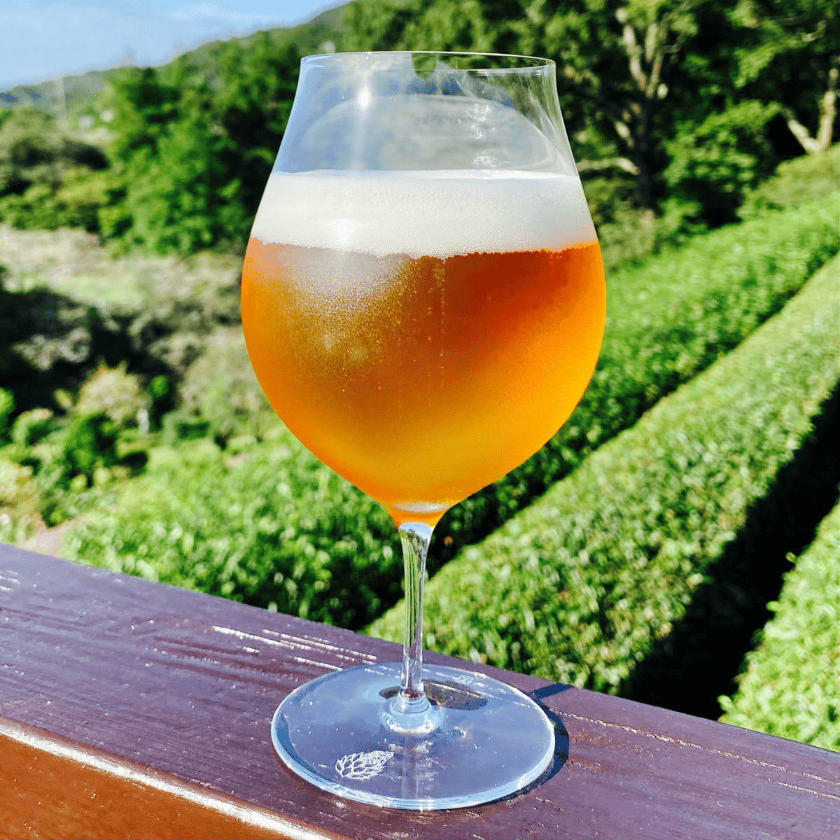 反射炉ビヤ 至極のサヴァグラス | 反射炉ビヤ オンラインショップ