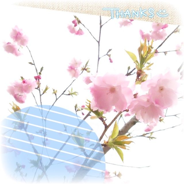 ゆの クラウドファンディング CD 2023-12-20] イラストレーターゆのさんのクラウドファンディング