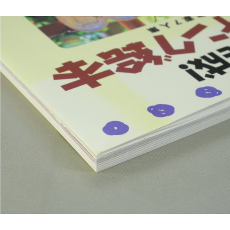 1日で完成！ペインティング絵本 人気トール作家7人集 / 成美堂出版