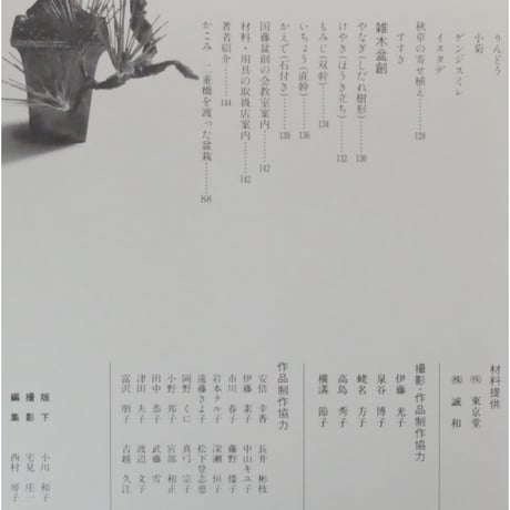 これからの創作盆栽 国藤光枝・盆創のすべて / マコー社