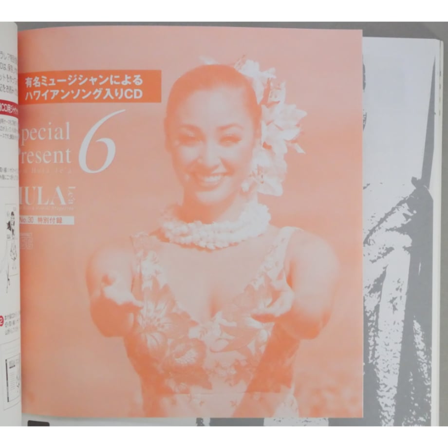 6a33b70ff76ce70070501f17