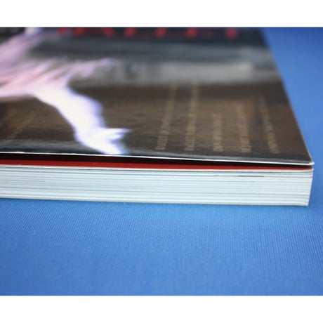 別冊太陽 バレエ BALLET / 平凡社