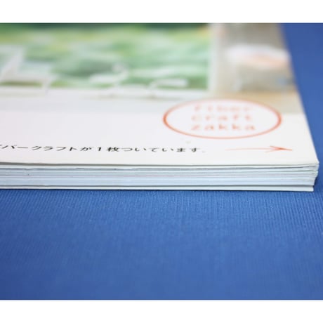 ファイバークラフトでつくる雑貨  / 雄鶏社