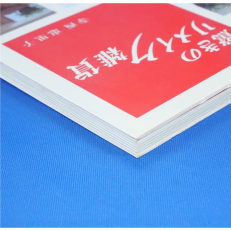 驚きのリメイク雑貨 / 寺西恵里子 / 河出書房新社