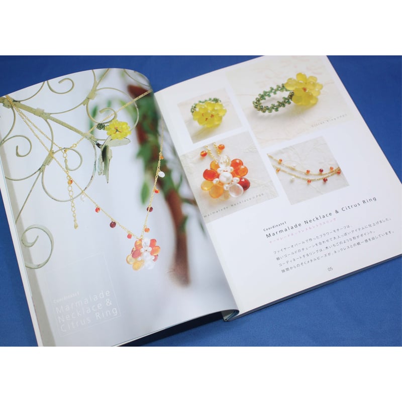 ビーズ・コンチェルト さめじまたかこ 日本文芸社 | IWブックス