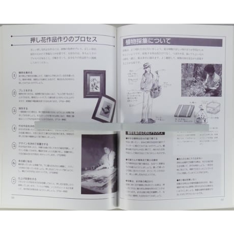 服部さち子の押し花のインテリア / 作って飾るから楽しい / 世界文化社