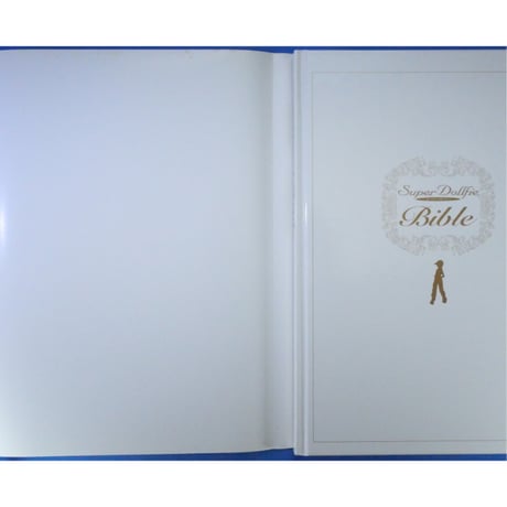 スーパードルフィー バイブル Super Dollfie Bible 箱入り / メディアワークス