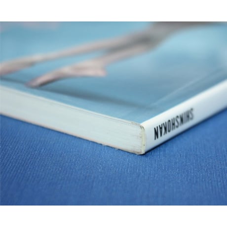 このダンサーが見たい！いま、注目の若手55人 / ダンスマガジン編 / 新書館