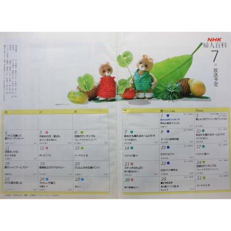 NHK婦人百科 昭和63年 / 1988年7月号