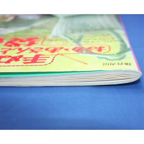 手ぬいでできる おかあさんと子どもの袋もの 高橋恵美子 / 鎌倉書房