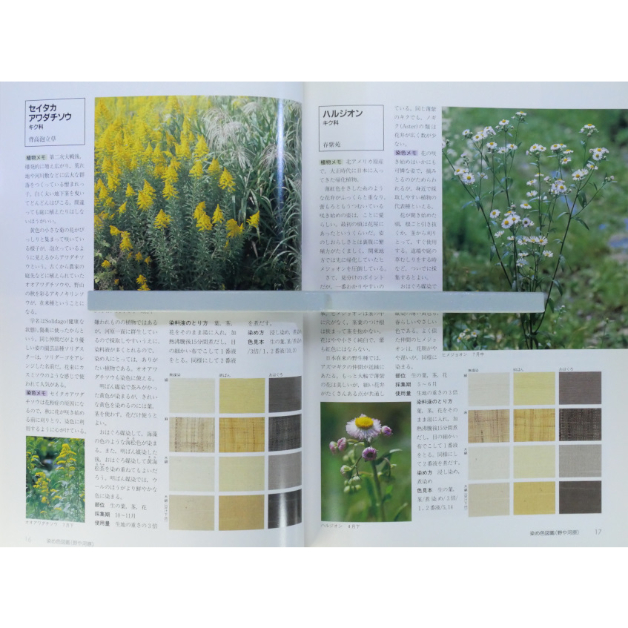 トルコの天然染料・草木染めの本　Doğal Boyamacılık　新品訳あり トルコの天然染料・草木染めの本 Doğal Boyamacılık 新品訳あり