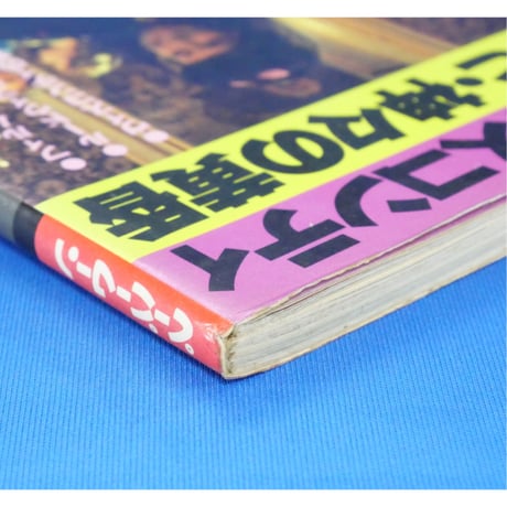 ペーパームーン ヴィスコンティ=ルードウィッヒ・神々の黄昏 / 新書館