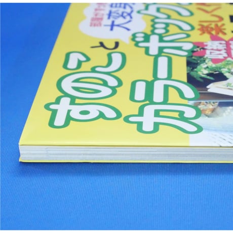 すのことカラーボックスで楽しく作る 収納便利 家具＆雑貨 / 主婦と生活社