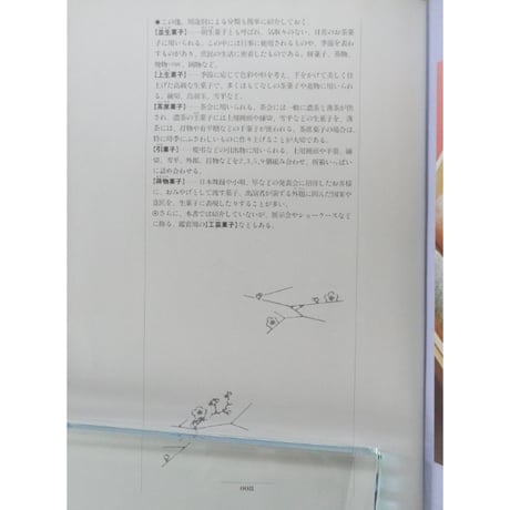和菓子入門 / 辻製菓専門学校 高田栄一 / 鎌倉書房