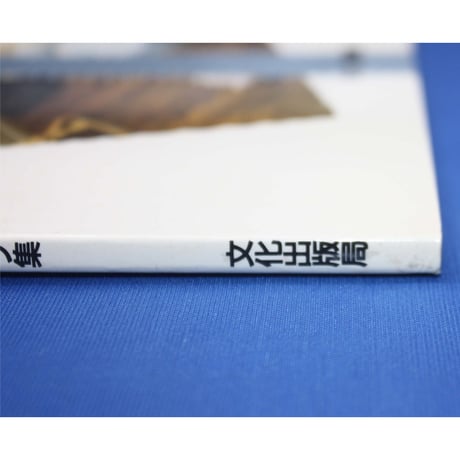 赤ちゃんへの贈り物  / 赤ちゃんのための手作りワードローブ集 / 文化出版局