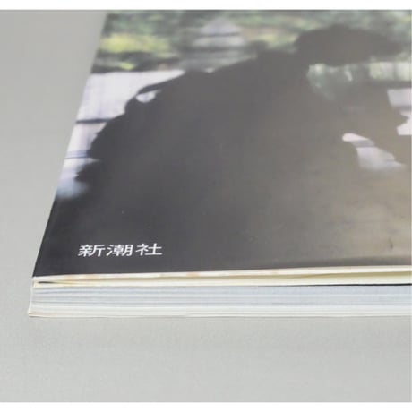 現代の茶会 井上隆雄 梅原猛 千宗室 他 / とんぼの本 新潮社