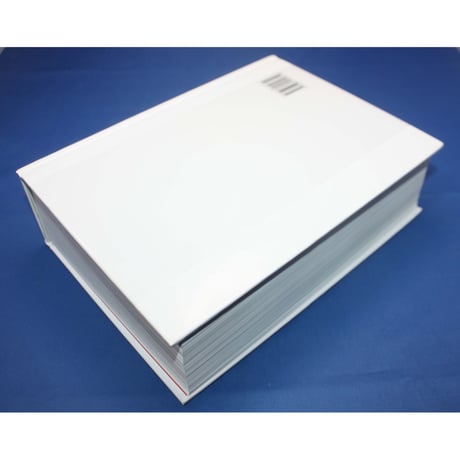 1000 Packaging Structure