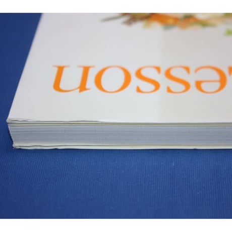 ブーケ基礎レッスン / ワイヤリングで花・色・形、自由自在 / 渡辺俊治 / 高橋書店