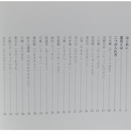 茶花の入れ方 茶の湯実践講座 / 山藤宗山 淡交社