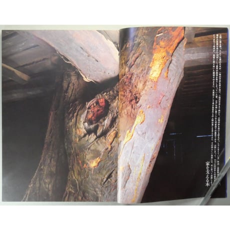 季刊銀花 第三十七号 春 昭和54年/1979年37号 文化出版局
