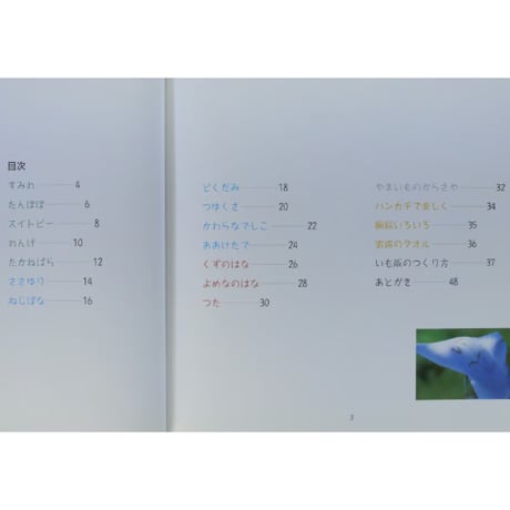 野の花を染める 中野チエ子のいも版プリント / アートダイジェスト