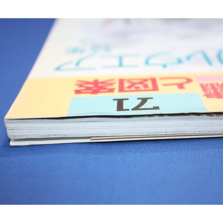 フランス刺繡と図案 71 戸塚きく・貞子 / 啓佑社