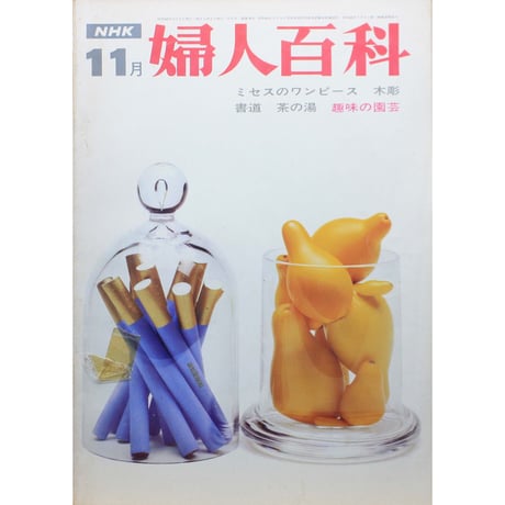 NHK婦人百科 昭和44年 / 1969年11月号