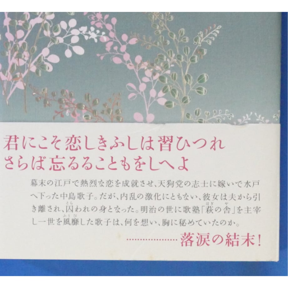 686a0b1156e39ca66f406f4d