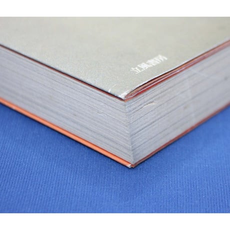 2000のキーワードで観るバレエの魅力 / 長野由紀：編 / 立風書房