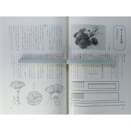 うつくしい造花 みゆきフラワー / 飯田深雪・飯田倫子 / 婦人画報社