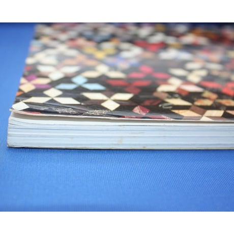 QUILTS OF ILLUSION /  LAURA FISHER